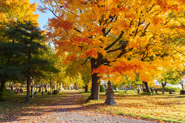 The 1849 protestant Mount Hermon Cemetery seen during a golden hour fall morning, Quebec City,...
