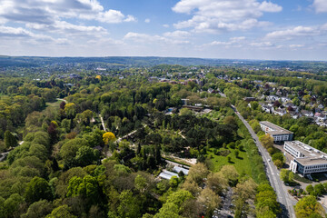 Obraz premium Rombergpark Dortmund