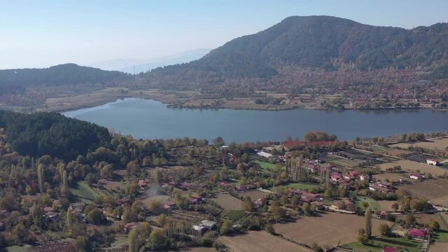 Tree tops against sunny sky. Pine forest is 
lake view. drone shoot,mountain