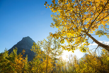 Fototapeta premium Autumn in Glacier Park