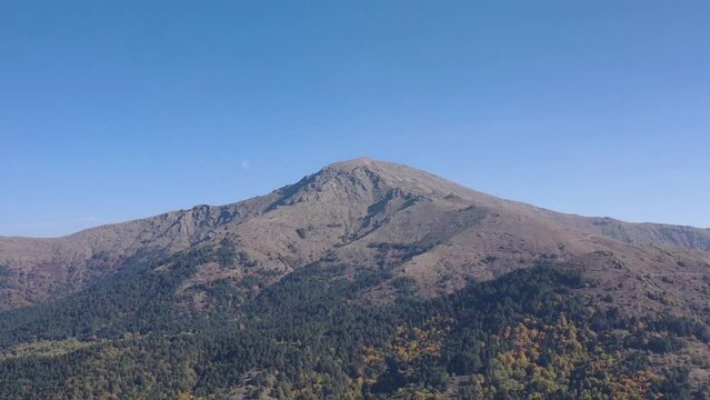 Tree tops against sunny sky. Pine forest is 
lake view. drone shoot,mountain