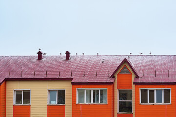 seagulls sit on the roof of a wooden house