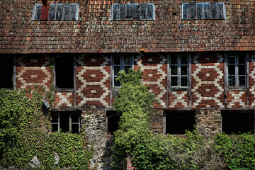 Ruine d'usine envahie par la v&eacute;g&eacute;tation
