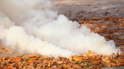 Mocny biały dym leci z wojskowej świecy dymnej.  - obrazy, fototapety, plakaty
