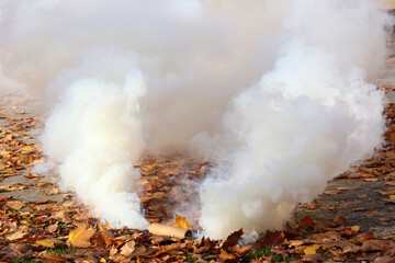 Mocny biały dym leci z wojskowej świecy dymnej.  - obrazy, fototapety, plakaty