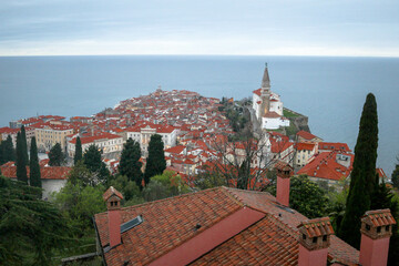 Fototapeta premium Red roofs in the town Piran, Slovenia