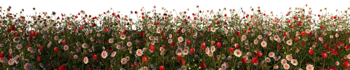 Fototapeta premium 3d rendered of a flower field