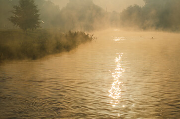 Morning on the river early morning reeds mist fog and water surface on the river.