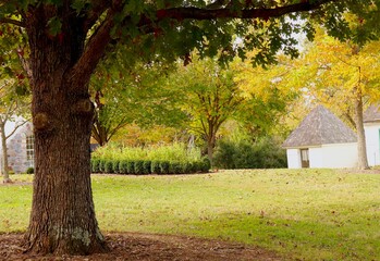 Autumn Scene, Fall Color, Trees, Grass, Garden, Outbuildings