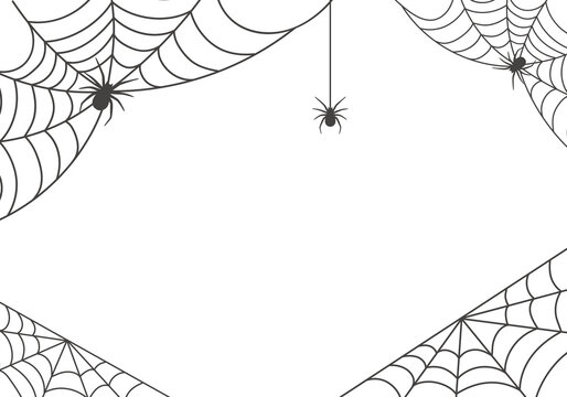 Spiders and cobweb background, scary halloween symbol isolated on white background