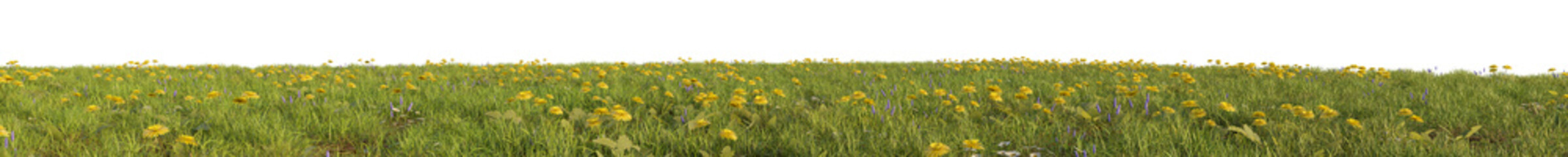 green grass isolated on white 3d rendered