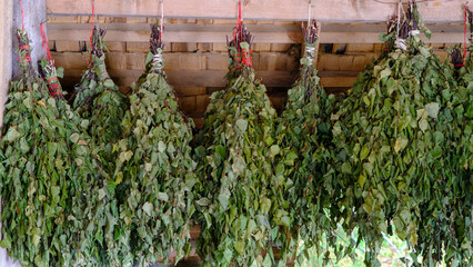 Birch sauna brooms hung on the wooden wall. Birch brooms on the wooden wall, sauna accessory....
