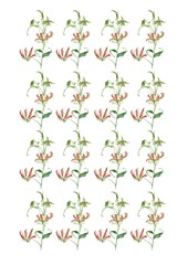 Gloriosa graceful Watercolor pattern botanical illustration floral design red blossom flower plant 