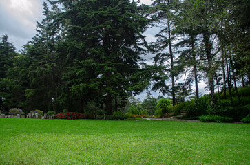 Parque despejado al aire libre