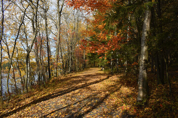 Forêt Drummond 16 Octobre 2022