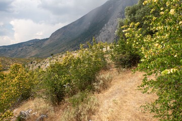 Fototapeta na wymiar Paysage d'Albanie