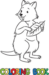 Quokka standing with a leaf. Kids coloring book