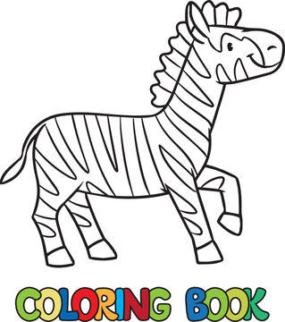 Funny zebra standing on lawn. Kids coloring book