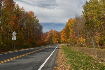 Forêt Drummond 16 Octobre 2022