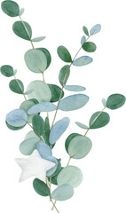 Fototapeta premium Watercolor hand drawn winter bouquet with eucalyptus leaves