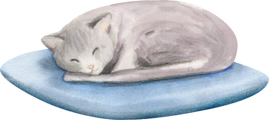 Hand drawn watercolor cat is lying on a pillow