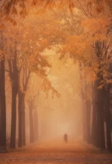 Foto op Canvas silhouet van mensen die op een mistige herfstochtend in het park lopen © Agata Kadar
