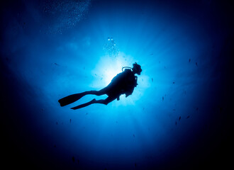 Scuba diver