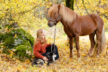 Young woman under yellow maple tree with Icelandic horse and Lapponian Herder in autumn scenery