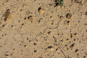 Soil clean ground texture background. Dirt black earth