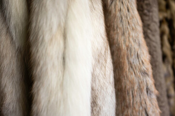 close up of fur coats