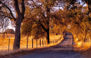 Rural Road in autumn