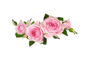Pink rose flowers in a wave floral arrangement isolated - obrazy, fototapety, plakaty