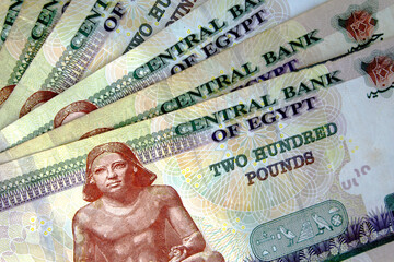 Egyptian pounds banknote - obrazy, fototapety, plakaty