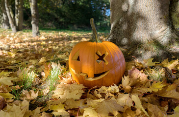 Carved Halloween pumpkin with a grinning face stands on the tree in the autumn forest