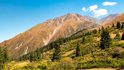 Fototapeta premium landscape in the mountains