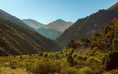 Obraz premium Landscape in the morning