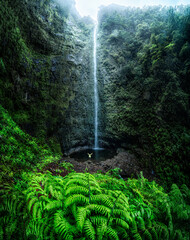 Cascada de caldeirão verde en madeira © Jorge