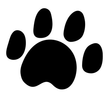 Pawprint animal. Paw print. Trace animal. Paw print cat, dog, lion, tiger, bear. Vector hand drawn icon illustration on a white background.