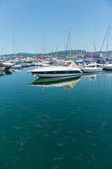 Fototapeta premium puerto de vigo barcos yates barcas 2022 