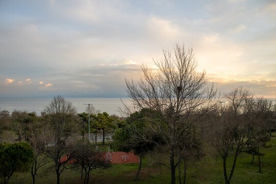 Beautiful sea, park and woodland views.