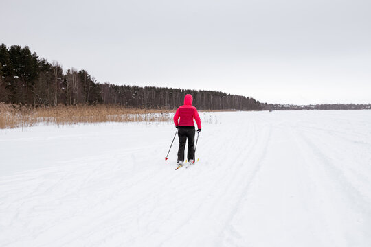 Female Person Exercising Cross-country Skiing On The Frozen Lake Ice Sheet In Winter Day.Active People Outdoors. Scenic Peaceful Finnish Landscape