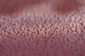 Water drops on a hydrophobic car paint surface