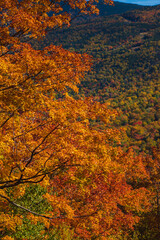 Fall in New England!