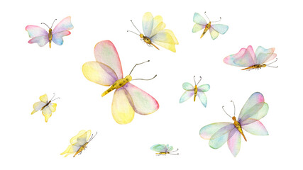 Hand drawn drawing, watercolor illustration, butterflies, moth.