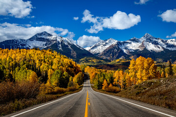 Peak Fall Color in Colorado Near the Town of Telluride - obrazy, fototapety, plakaty