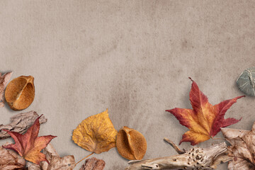 Natural autumn background with colorful leaves, twigs, bark, stones and other natural items on...