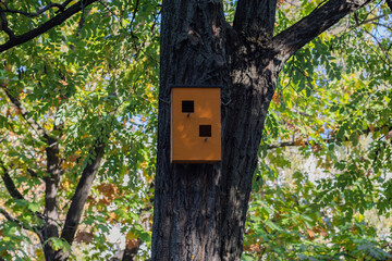 Wooden brown birdhouse on a trunk of a tree in the park. A house for the birds. Bird feeder. Copy space
