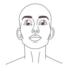 Woman face line art. Bald head. Vector illustration isolated on white background.