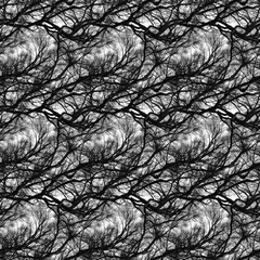 Black branches intertwine on a light sky - photorealistic seamless illustration. Photorealistic seamless illustration of dark intertwining branches against a light sky in shades of black and white.