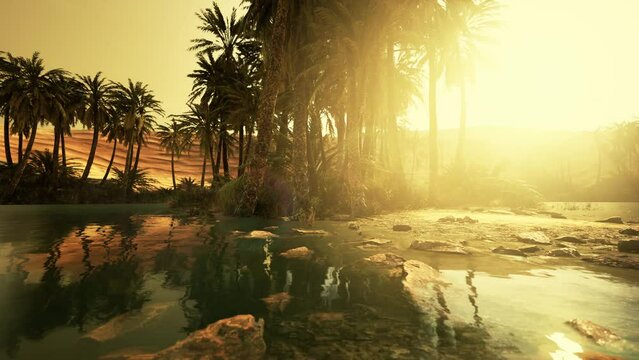 Desert oasis pond with palm trees and plants